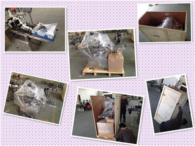 Έλεγχος PLC μηχάνημα αυτόματης στρογγυλής φιάλης HAY SUS304 Servo Motor