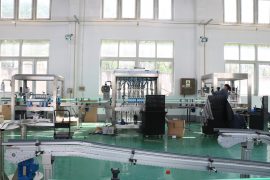 Εργοστασιακή προβολή